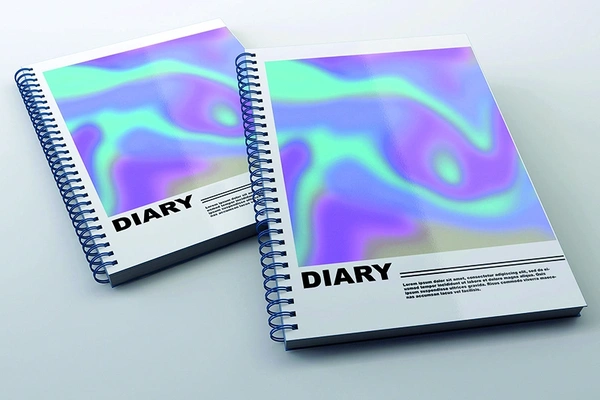  Diaries