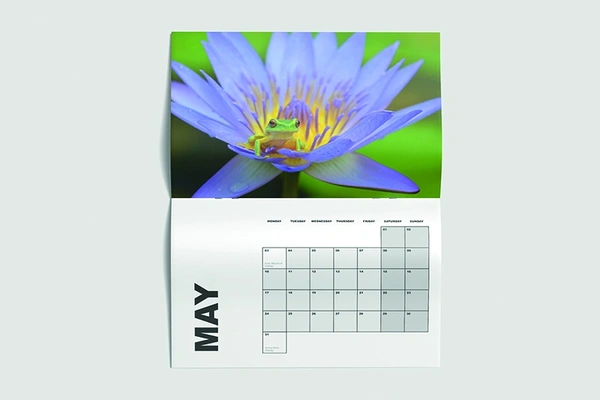 Wall Calendars (drilled Hole)